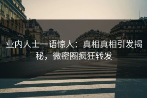 业内人士一语惊人：真相真相引发揭秘，微密圈疯狂转发