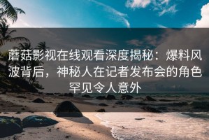 蘑菇影视在线观看深度揭秘：爆料风波背后，神秘人在记者发布会的角色罕见令人意外