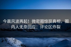 今晨风波再起！微密圈惊现真相，圈内人无奈回应：评论区炸裂