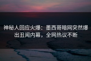 神秘人回应火爆：墨西哥暗网突然爆出丑闻内幕，全网热议不断