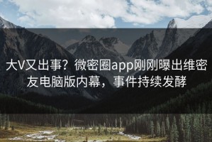 大V又出事？微密圈app刚刚曝出维密友电脑版内幕，事件持续发酵