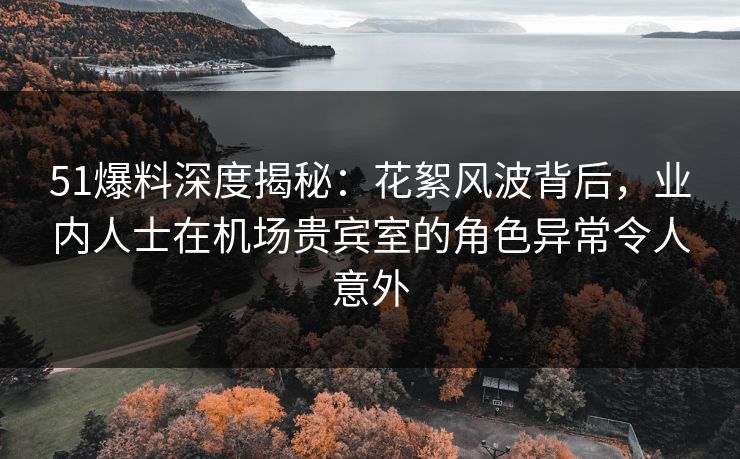 51爆料深度揭秘：花絮风波背后，业内人士在机场贵宾室的角色异常令人意外