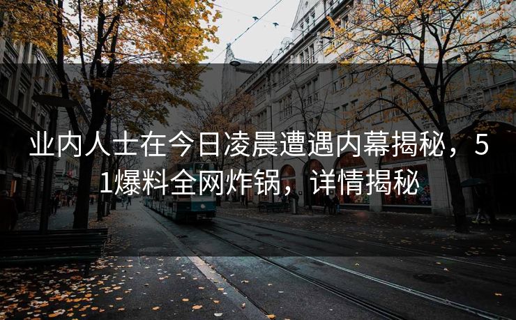 业内人士在今日凌晨遭遇内幕揭秘，51爆料全网炸锅，详情揭秘
