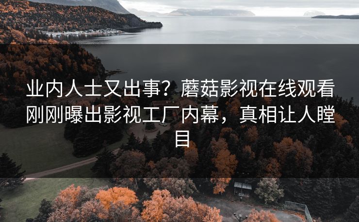业内人士又出事?蘑菇影视在线观看刚刚曝出影视工厂内幕,真相让人瞠目 业内人士又出事?蘑菇影视在线观看刚刚曝出影视工厂内幕,真相让人瞠目