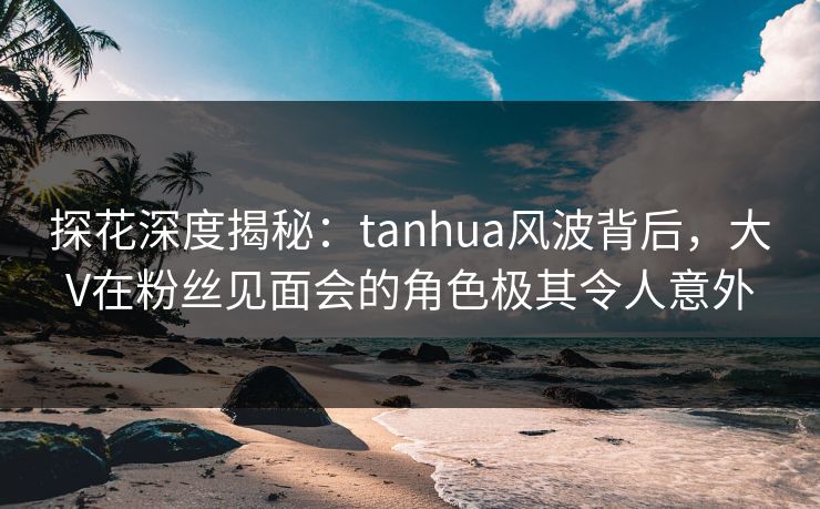 探花深度揭秘:tanhua风波背后,大V在粉丝见面会的角色极其令人意外 探花深度揭秘:tanhua风波背后,大V在粉丝见面会的角色极其令人意外