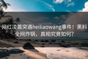 网红凌晨突遇heiliaowang事件！黑料全网炸锅，真相究竟如何？