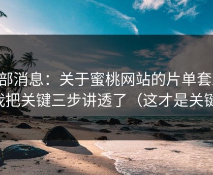 内部消息：关于蜜桃网站的片单套路，我把关键三步讲透了（这才是关键）