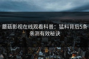 蘑菇影视在线观看科普：猛料背后5条亲测有效秘诀