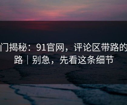 冷门揭秘：91官网，评论区带路的套路｜别急，先看这条细节